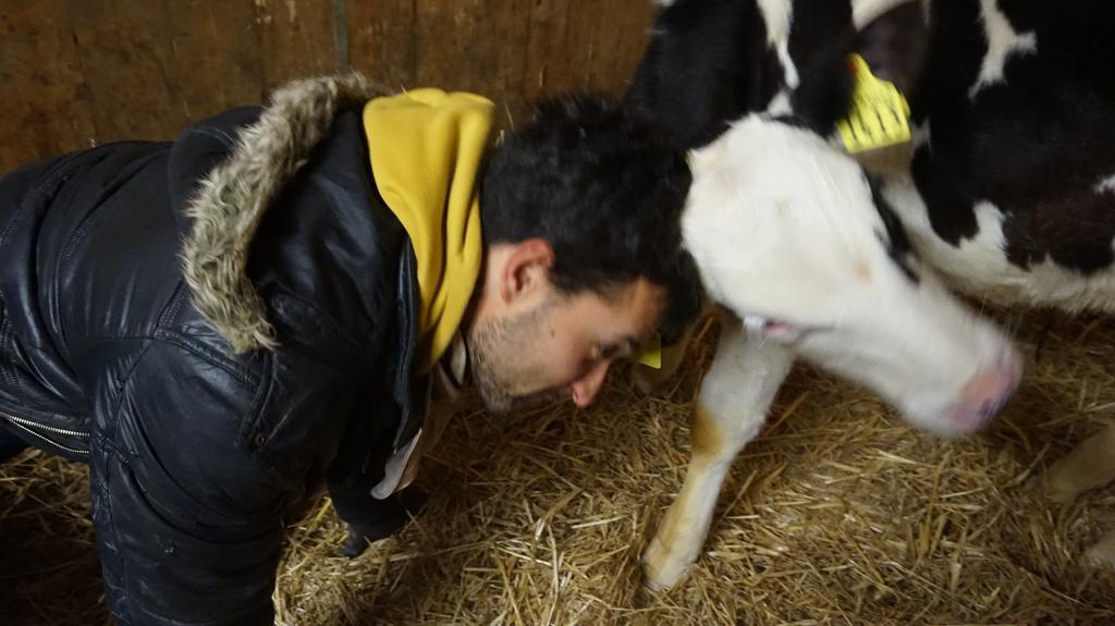 Tenuta Gran Bosco Loro Piceno المظهر الخارجي الصورة