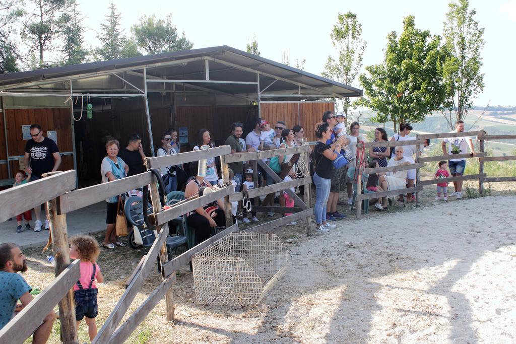 Tenuta Gran Bosco Loro Piceno المظهر الخارجي الصورة