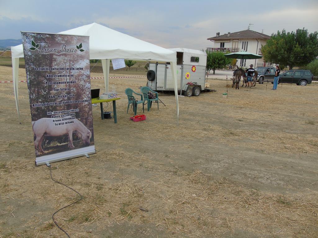 Tenuta Gran Bosco Loro Piceno المظهر الخارجي الصورة