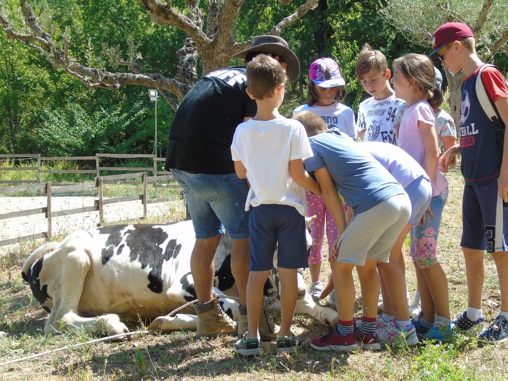 Tenuta Gran Bosco Loro Piceno المظهر الخارجي الصورة